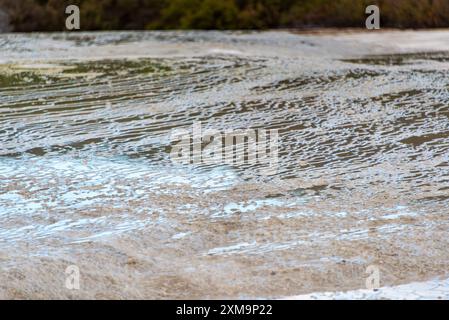 Primrose Terrace in Waiotapu - Neuseeland Stockfoto