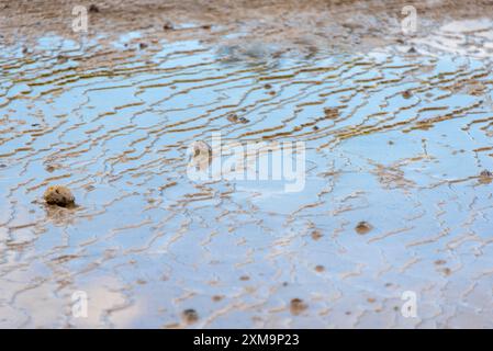 Primrose Terrace in Waiotapu - Neuseeland Stockfoto