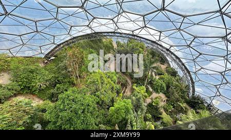 Innenansicht, Rainforest Biome, The Eden Project, Trethurgy, Bodelva, England, Großbritannien Stockfoto