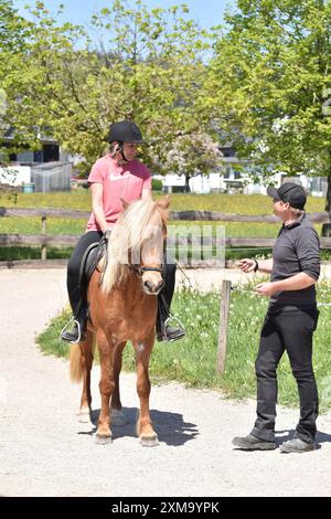 Diskussion zwischen Trainer und Kursteilnehmer beim Training von Islandpferden auf einer Ovalbahn Stockfoto