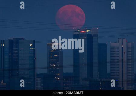 Der rote Vollmond überquert Frankfurts Bank-Skyline. Wegen seiner rötlichen Farbe beim Aufsteigen wird der Vollmond im Juli auch als der bezeichnet Stockfoto