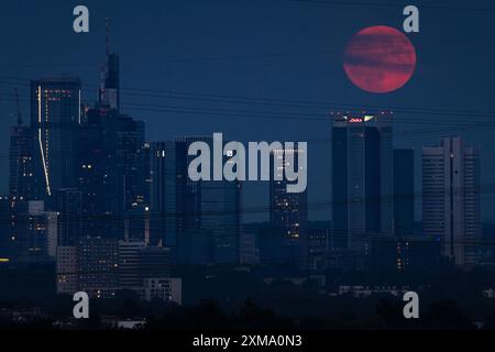 Der rote Vollmond überquert Frankfurts Bank-Skyline. Wegen seiner rötlichen Farbe beim Aufsteigen wird der Vollmond im Juli auch als der bezeichnet Stockfoto