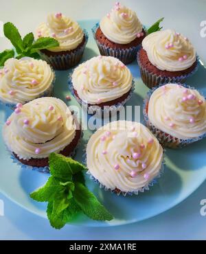 Ein Teller mit wunderschön mattierten Cupcakes, geschmückt mit rosa Streuseln und garniert mit Minzblättern Stockfoto
