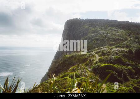 Ein Pfad führt entlang einer grünen Klippe mit atemberaubendem Blick auf das Meer unter einem bewölkten Himmel, Mercer Bay Loop, Neuseeland Stockfoto