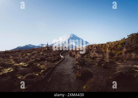 Schotterpfad schlängelt sich durch eine karge Landschaft mit einem schneebedeckten Berg im Hintergrund, Tongariro National Park, Neuseeland Stockfoto
