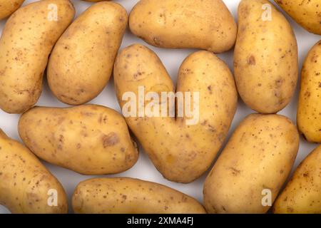 Kartoffeln, herzförmige Kartoffel, Herz, Studio-Shot, Stuttgart, Baden-Württemberg, Deutschland Stockfoto