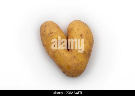 Herzförmige Kartoffel, Herz, Atelierfoto, Stuttgart, Baden-Württemberg, Deutschland Stockfoto