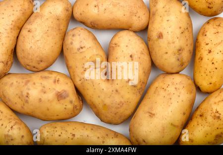 Kartoffeln, herzförmige Kartoffel, Herz, Studio-Shot, Stuttgart, Baden-Württemberg, Deutschland Stockfoto