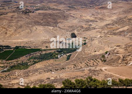 Blick auf den heiligen Olivenbaum und Olivenhaine vom Mount Nebo, Jordanien Stockfoto