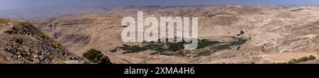 Blick auf den heiligen Olivenbaum und Olivenhaine vom Mount Nebo, Jordanien Stockfoto