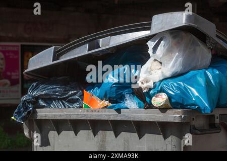 Überfüllter Abfallbehälter, Deutschland Stockfoto