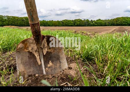 Schaben, Schaufeln am Rande eines frisch bearbeiteten Feldes in Nordrhein-Westfalen Stockfoto