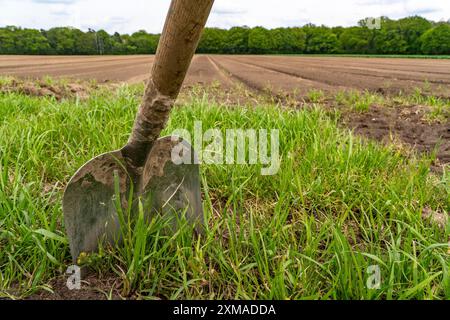 Schaben, Schaufeln am Rande eines frisch bearbeiteten Feldes in Nordrhein-Westfalen Stockfoto