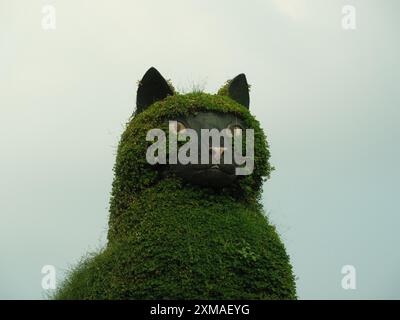 Eine Katze ist mit grünen Pflanzen bedeckt und blickt in die Kamera. Das Bild hat eine skurrile und verspielte Stimmung, da die Katze kein typisches Motiv ist Stockfoto