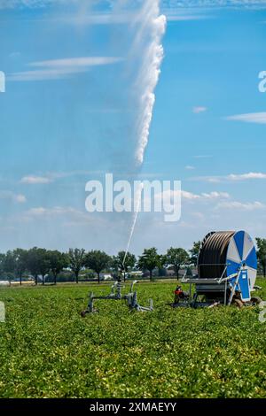 Ein Feld wird künstlich bewässert, Wasser wird über eine Sprinkleranlage auf das Feld gesprüht, Kartoffelfeld, Nordrhein-Westfalen, Deutschland Stockfoto