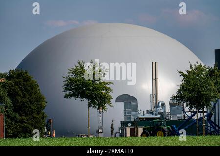 Biogasanlage, Speichersilos, großer Puffertank für Warmwasser zur Zwischenspeicherung von Energie, kuppelförmiger Gasspeicher, Rietberg, Nord Stockfoto