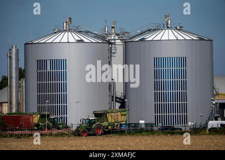 RWE-Biogasanlage Bergheim-Paffendorf, wo Kulturen aus der regionalen Landwirtschaft, Ganzpflanzen, Gras- und Maissilage, grüner Roggen, Zuckerrüben und luzern angebaut werden Stockfoto