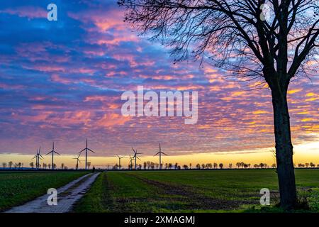 Windpark bei Holzweiler, Stadt Erkelenz, Windkraftwerke, Nordrhein-Westfalen, Deutschland Stockfoto