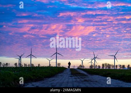 Windpark bei Holzweiler, Stadt Erkelenz, Windräder, Mann mit Hund, Nordrhein-Westfalen, Deutschland Stockfoto