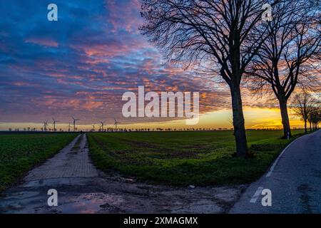 Windpark bei Holzweiler, Stadt Erkelenz, Windkraftwerke, Nordrhein-Westfalen, Deutschland Stockfoto