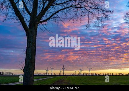 Windpark bei Holzweiler, Stadt Erkelenz, Windkraftwerke, Nordrhein-Westfalen, Deutschland Stockfoto