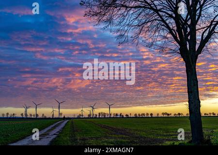 Windpark bei Holzweiler, Stadt Erkelenz, Windkraftwerke, Nordrhein-Westfalen, Deutschland Stockfoto