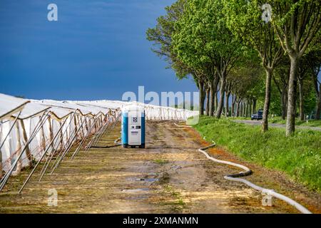 Landwirtschaft, große Flächen mit Folientunnel, für den Anbau von Erdbeeren, südlich von Loevenich, gehört zu Erkelenz, im Landkreis Stockfoto