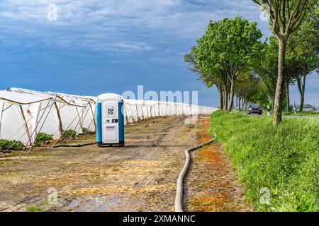 Landwirtschaft, große Flächen mit Folientunnel, für den Anbau von Erdbeeren, südlich von Loevenich, gehört zu Erkelenz, im Landkreis Stockfoto