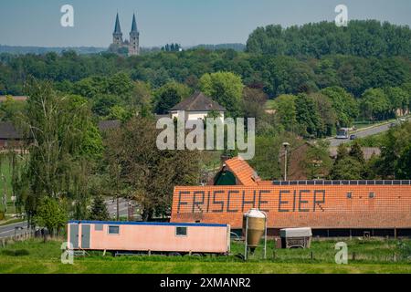 Bauernhof bei Xanten, verkauft frische Eier vom Bauernhof, Hofladen, Hoehnshof, Werbung auf dem roten Schindeldach, Nordrhein-Westfalen, Deutschland Stockfoto