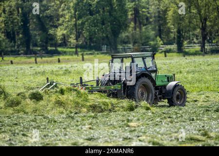 Traktor, Grasmähen, Gras wenden, bei Issum, Niederrhein, Nordrhein-Westfalen, Deutschland Stockfoto