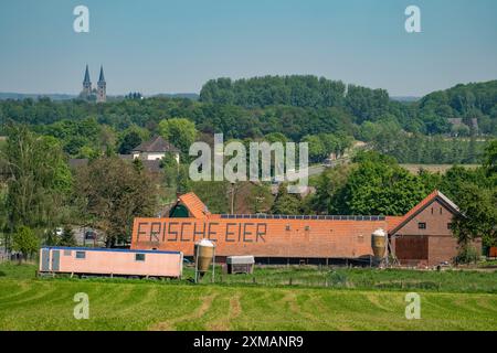 Bauernhof bei Xanten, verkauft frische Eier vom Bauernhof, Hofladen, Hoehnshof, Werbung auf dem roten Schindeldach, Nordrhein-Westfalen, Deutschland Stockfoto