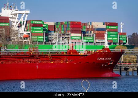 Containerschiff, das jemals begabt ist, fährt in den Hamburger Hafen an der Elbe ein, die Reederei Evergreen, Singapur, 399 m lang, kann über 20 000 transportieren Stockfoto