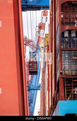 Entladung des Containerfrachters Magleby Maersk am EUROGATE Containerterminal im Waltershofer Hafen, einem der größten Containerschiffe in der Stockfoto