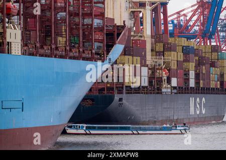 Hafenrundfahrt im Waltershofer Hafen, HHLA Containerterminal Burchardkai, Magleby Maersk Containerfrachter im EUROGATE Containerterminal, MSC Stockfoto