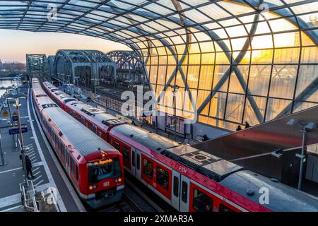 Der S-Bahnhof Elbbrücken, die S-Bahn S3 und S5 verkehren hier, Pendler, Hamburg Stockfoto