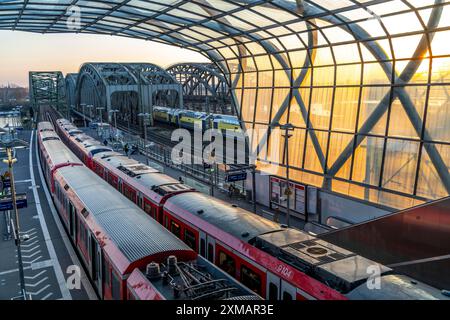 Der S-Bahnhof Elbbrücken, die S-Bahn S3 und S5 verkehren hier, Pendler, Hamburg Stockfoto