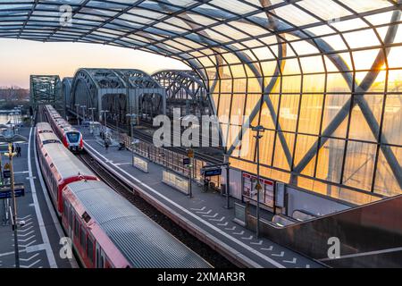 Der S-Bahnhof Elbbrücken, die S-Bahn S3 und S5 verkehren hier, Pendler, Hamburg Stockfoto