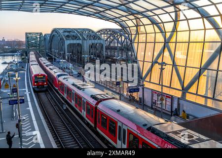 Der S-Bahnhof Elbbrücken, die S-Bahn S3 und S5 verkehren hier, Pendler, Hamburg Stockfoto