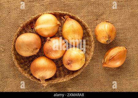 Frische duftende Zwiebel in Strohplatte auf Jutetuch, Makro, Draufsicht. Stockfoto