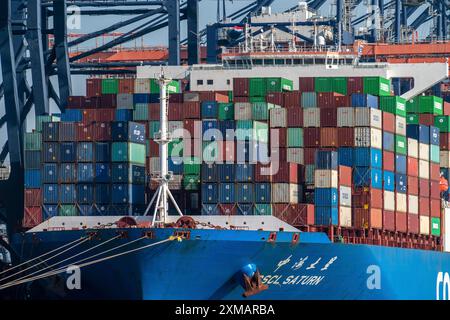 Containerschiff der Reederei Cosco Shipping, CSCL SATURN, wird be- und entladen, Euromax Container Terminal, Containerfrachter, in Stockfoto