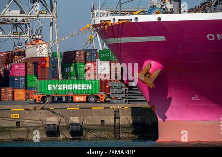 Selbstfahrende, automatisierte Containertransporter bringen die Container zu den Lade- und Lagerorten, Hutchinson ECT Delta Terminal, Container Stockfoto