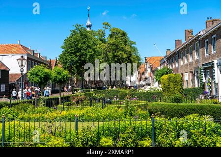 Die Stadt Veere, Provinz Zeeland, das alte Rathaus, Marktplatz, Cafés und Geschäfte, Gärten von Privathäusern, Niederlande Stockfoto