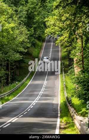 Landstraße durch einen Wald, bei Hofgeismar, in Hessen, Deutschland Stockfoto