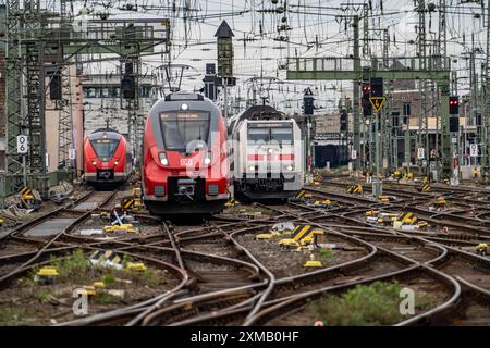 Gleissystem vor dem Kölner Hauptbahnhof, Regionalzüge, Fernzüge, Köln, Nordrhein-Westfalen, Deutschland Stockfoto