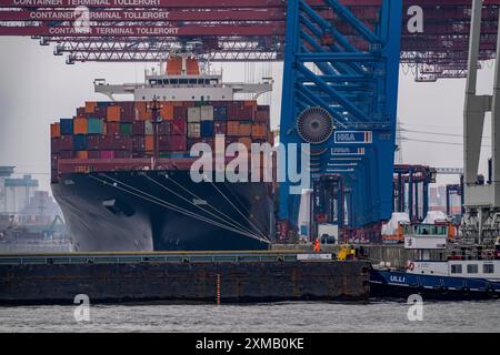 Containerterminal Tollerort, Containerschiffe werden be- und entladen, einer von 4 Containerterminals im Hamburger Hafen Stockfoto