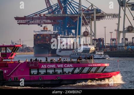 Containerterminal Tollerort, Containerschiffe werden be- und entladen, einer von 4 Containerterminals im Hamburger Hafen Stockfoto