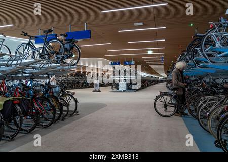 Neuer Fahrradparkplatz am Amsterdamer Hauptbahnhof, IJboulevard, Platz für rund 4000 Fahrräder, digital überwacht, unterirdisch, direkte Verbindung Stockfoto