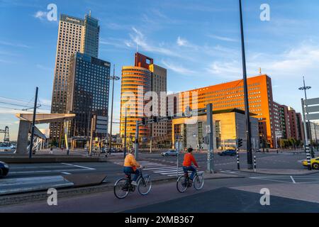 Büroturmblöcke am Wilhelminaplein, am Nieuwe Maas, Kop van Zuid, Rotterdam, Niederlande Stockfoto