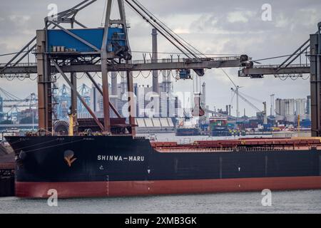 Massengutschiffe, Frachtschiffe für Massengüter wie Kohle, Erze, Sand, werden im Seehafen Rotterdam, Maasvlakte 2, Niederlande, entladen Stockfoto