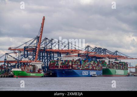 Euromax Container Terminal, BG Green Container Feedership, Containerfrachter Cosco Shipping Universe, vorne und immer genial, Evergreen Reederei Stockfoto